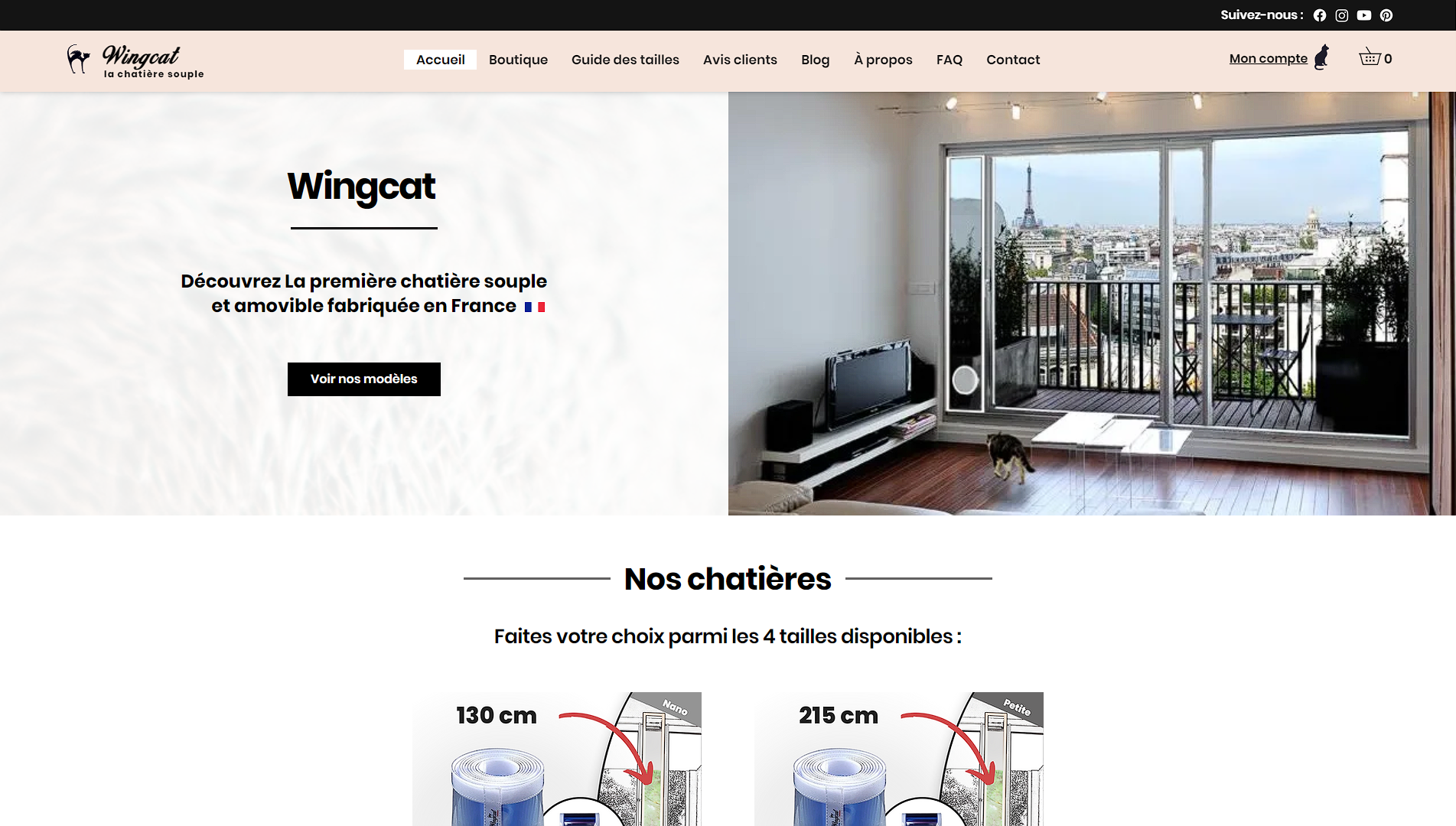 Aperçu du projet Wingcat